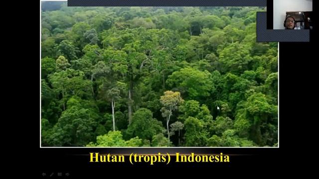 SUMBERDAYA HUTAN 1 смотреть онлайн