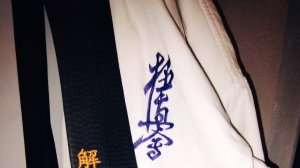 Урок киокушинкай каратэ. Техника 10 кю (оранжевый пояс).