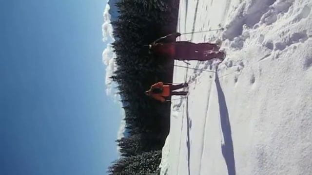 honden vakantie in de sneeuw met sneeuwschoenen смотреть онлайн