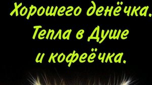 10-04-2025 Занимаюсь перцем , петунии кто б полил.