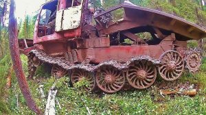Привет от разувшегося трелёвочника ./Hello from a broken skidder!