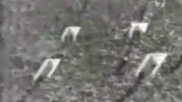 Нетто-Капитан СССР смотреть онлайн