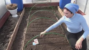 6 соток 30 марта 2021 года. Сею редиску, руколу, капусту Ред Бор, укроп, лук на перо