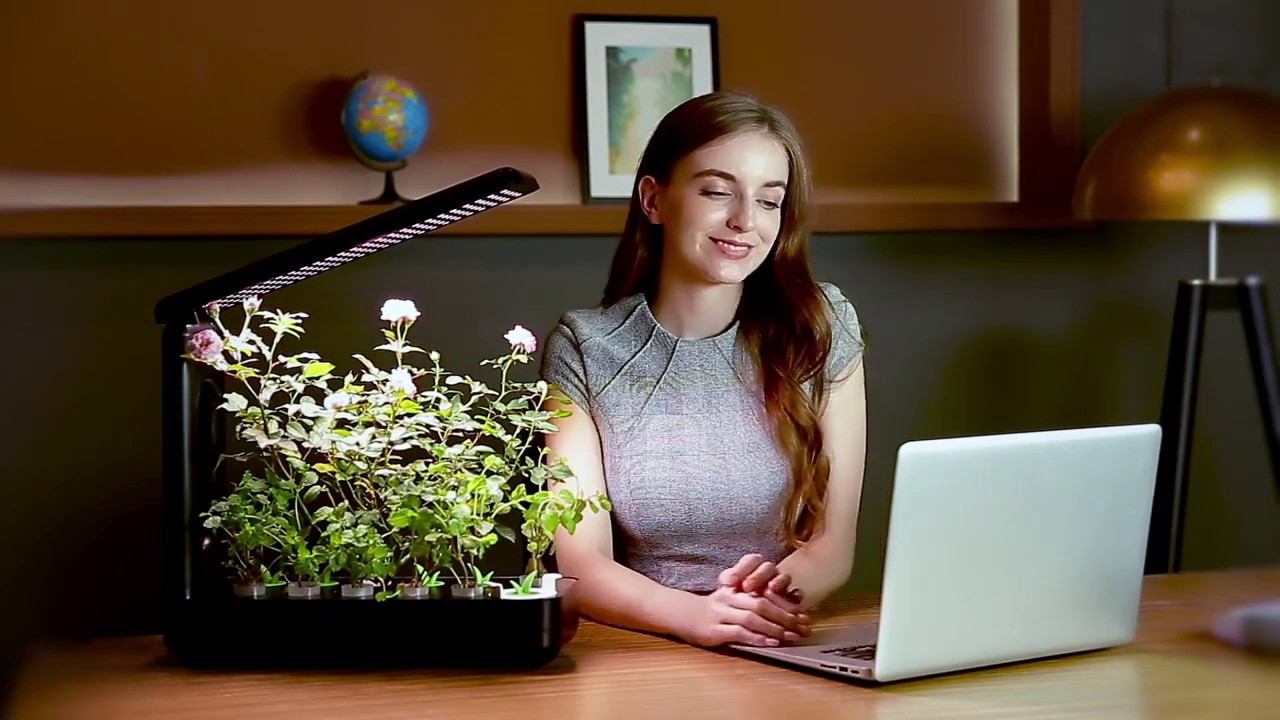 Кухонная садовая ферма VegeBox KBOX смотреть онлайн
