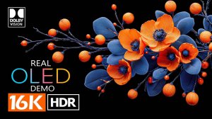 ЛУЧШИЙ ТЕСТ Dolby Atmos – Реальное OLED-испытание с Dolby Vision – 16K HDR видео