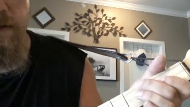 Seagull merlin Lesson - Mary Jane's Last Dance - Tom Petty смотреть онлайн
