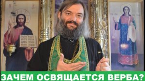 Зачем освящается верба? (По тексту Служебника) Вербное воскресенье. Священник Валерий Сосковец