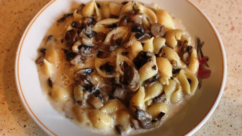 Макароны "Ракушки" с грибами в сырном соусе смотреть онлайн