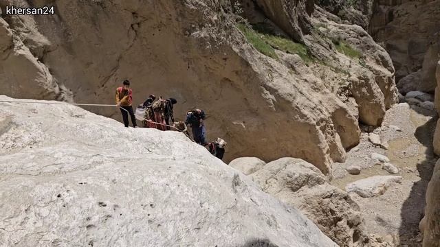 The challenges of Yusuf's family in traveling to tropical areas and seeing his mother смотреть онлайн