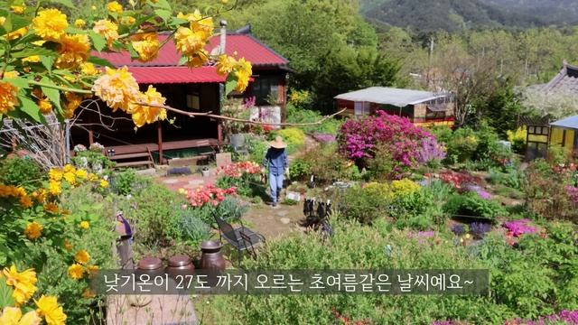 봄부터 겨울먹거리 준비하는 산골일상~!! смотреть онлайн