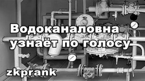 Пранк ЖКХ  ВОДОКАНАЛОВНА УЗНАЁТ ПО ГОЛОСУ