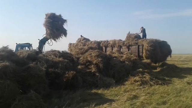 Сенокос смотреть онлайн