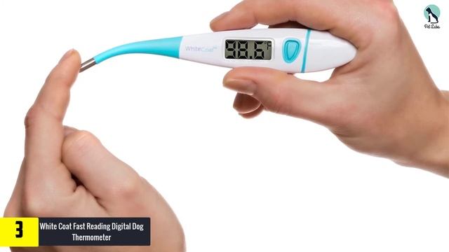 Top 5 Best Dog Thermometers Review in 2024 смотреть онлайн