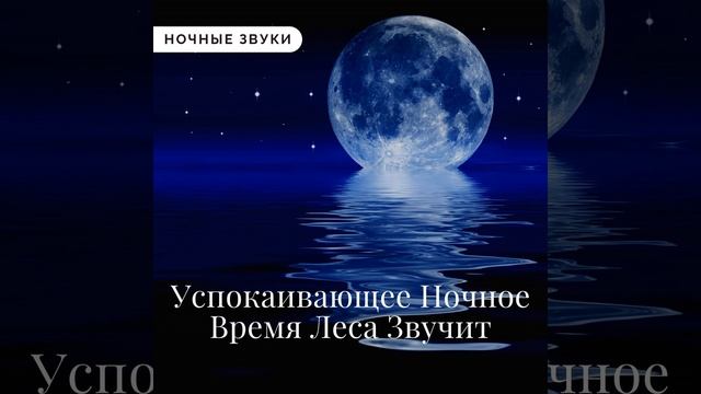 Длинный Ночной Отдых смотреть онлайн