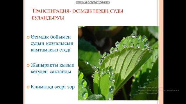Өсімдік тіршілігіне қажетті факторлар смотреть онлайн