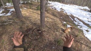 Еду в лес на поиски старого карьера. Что за дом стоял по среди леса?