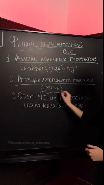 ВЫДЕЛИТЕЛЬНАЯ СИСТЕМА #умскул #биологияегэ #жаннаказанская #биология смотреть онлайн