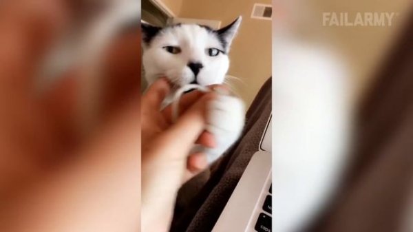 FailArmy (перезалив с youtube). I'm So Tired of Struggling