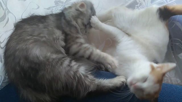 Вот такая у нас любовь 😀 смотреть онлайн