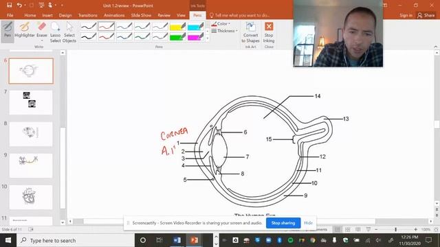 Principles of Biomed Unit 1.2 review смотреть онлайн