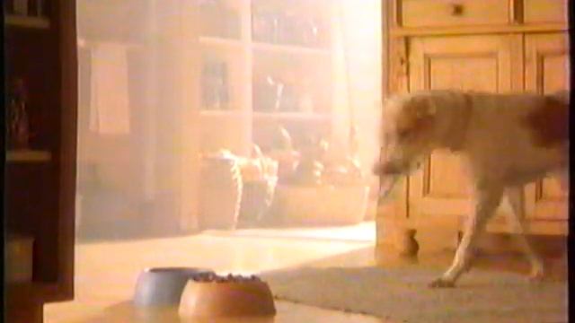 1994 Purina Dog Chow "Every Day" TV Commercial смотреть онлайн