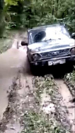 нива#
