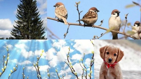 Разлюбезный Апрель (mp3cut.net) (online-video-cutter.com)