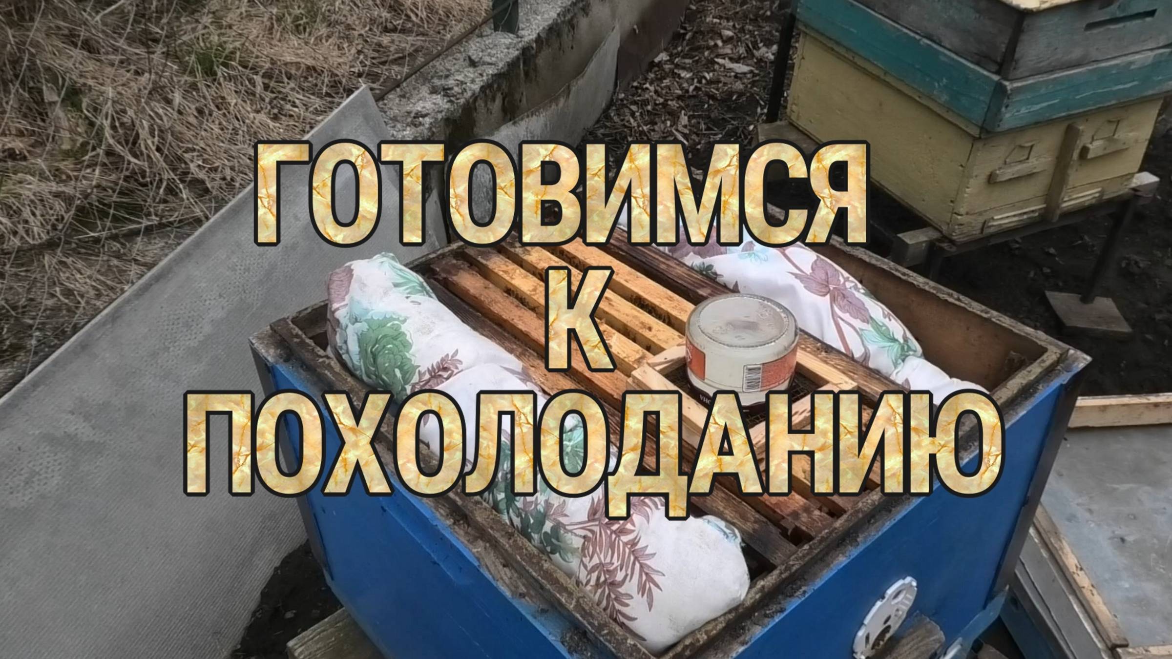 Эндовераза,спасаю семью пчёл. смотреть онлайн