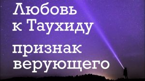 Любовь к Таухиду - признак верующего