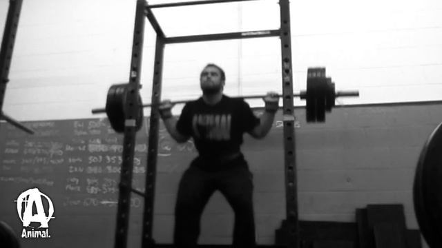 The Animal Underground: Kade "Pale Rider" Weber, Working Set Squats смотреть онлайн