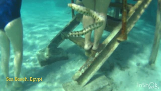 Обзор отеля Sea Beach Agua Park