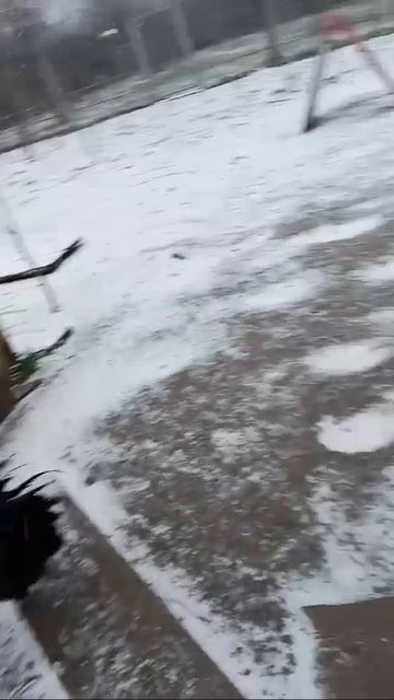 🐓🐓 смотреть онлайн