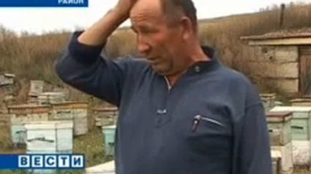 Анатолий Лапердин читинский пчеловод новатор смотреть онлайн