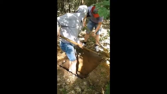 Практика ландшафтознавство 2017 смотреть онлайн