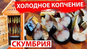 Скумбрия холодного копчения. Вкусный рецепт!