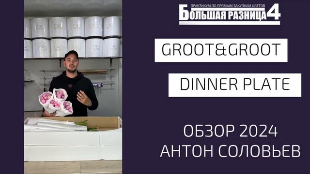 Открываем 30 дополнительных мест на обучение + обзор Groot, пион Dinner plate смотреть онлайн