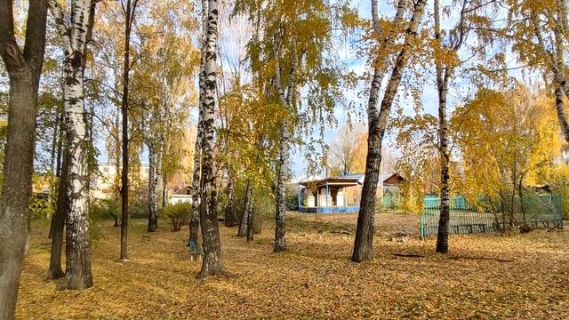 Камбарка субботняя. смотреть онлайн