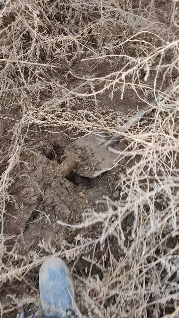 Отличный металл