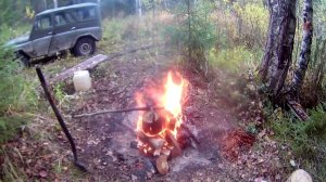 Нашёл столько, что пришлось отгружать.48 часов в лесу!