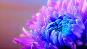 ✨ ДО МУРАШЕК ПО ТЕЛУ БЕЗУМНО КРАСИВАЯ МУЗЫКА ДЛЯ ДУШИ 🎵 РАССЛАБЛЯЮЩАЯ МУЗЫКА ДЛЯ СНА И МЕДИТАЦИИ