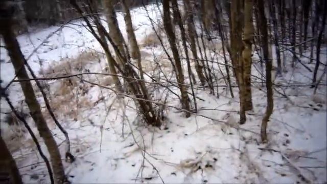 #металлокоп ДОБИРАЮ ОСТАТКИ С ПОЛЯ смотреть онлайн