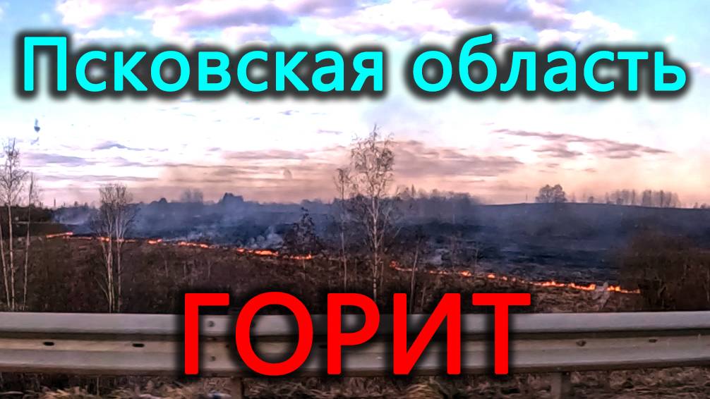 Псковская область в огне! Поехал в Тверь и попал в ДТВ во Ржеве. За что подписчики ругают Андрея? смотреть онлайн