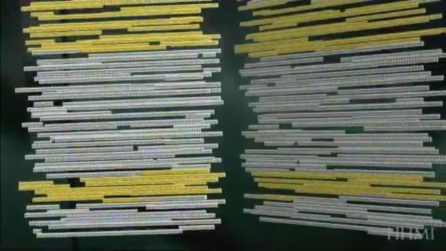 Human genome sequencing-Animated tutorial смотреть онлайн