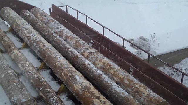 Log sorting line Priangarskiy LPK смотреть онлайн