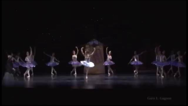 Gabrielle Collins- Dulcinea Variation смотреть онлайн