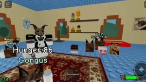 как получить много денег в raise a floppa2 райсе а шлёпа 2 #roblox #raiseafloppa2 #RomangametimeLIF
