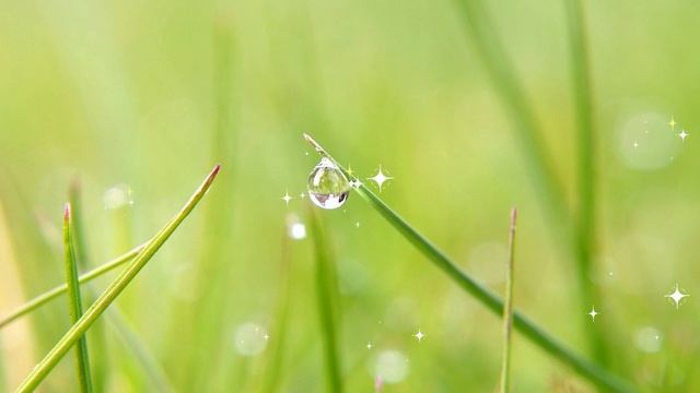 Частица света смотреть онлайн