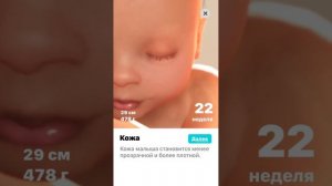 Развитие ребенка в утробе матери по неделям. 1-40 недель