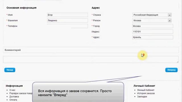 инструкция по оплате подтвержденного заказа в магазине Binza.ru смотреть онлайн