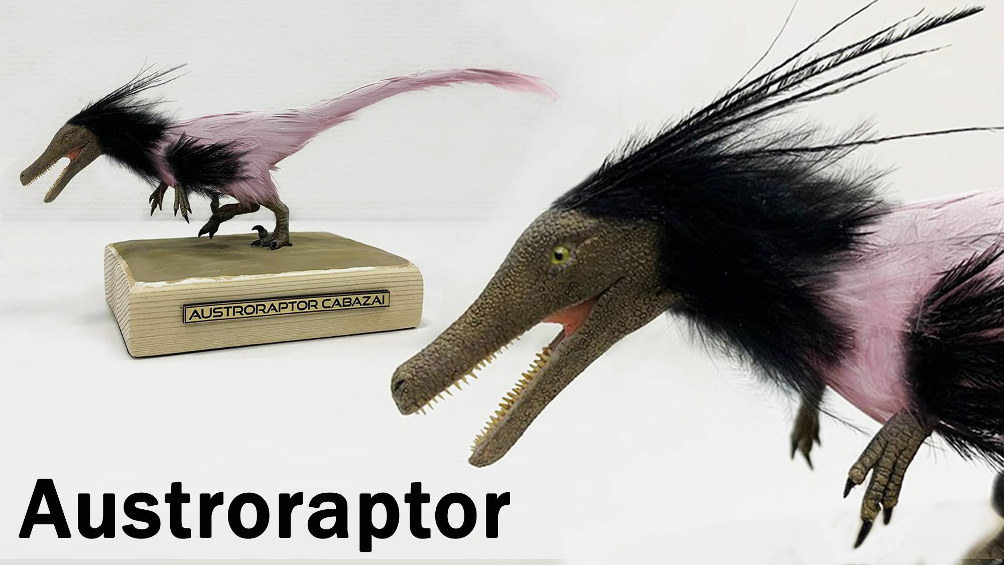 Лепка динозавра Австрораптора с перьями смотреть онлайн